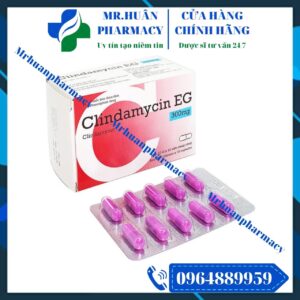 Clindamycin EG, Clindamycin, Kháng sinh