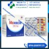 Moxacin, Amoxicillin, Kháng sinh