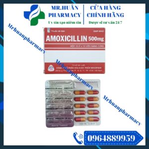 Amoxicilin 500mg, Amoxicilin, Beta lactam, Kháng khuẩn, Kháng sinh